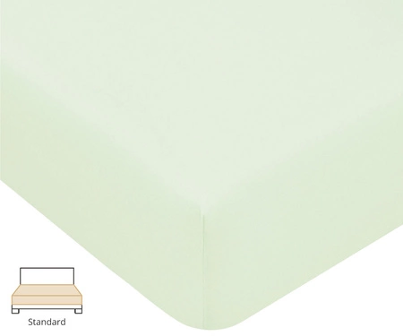 Prześcieradło Formesse Bella Donna Jersey 629 Pastelowa Zieleń